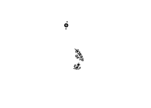 Fifa