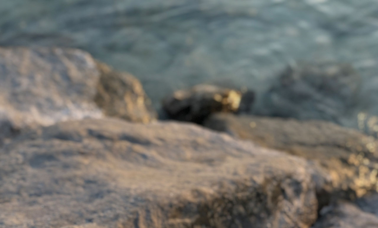 Violet By Voxelar - California - Riyadh - Makati, Marketing Agency